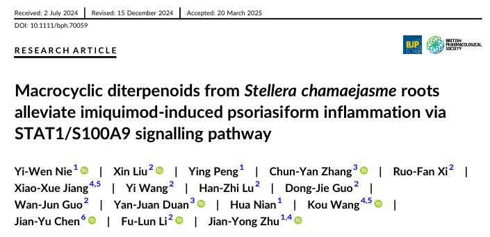 瑞香狼毒根大环二萜类化合物减轻咪喹莫特诱导的银屑病样炎症