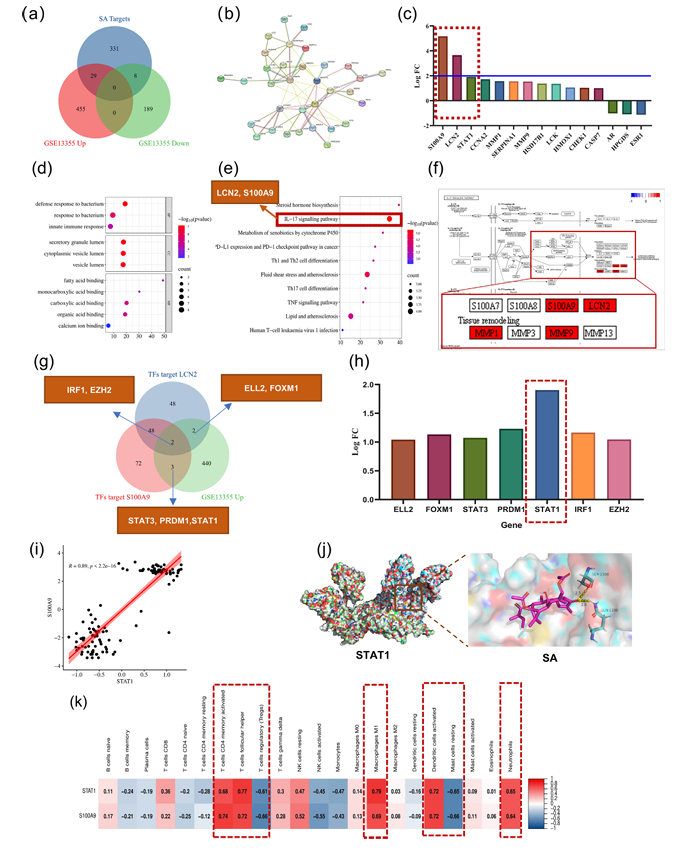 瑞香狼毒根大环二萜类化合物减轻咪喹莫特诱导的银屑病样炎症