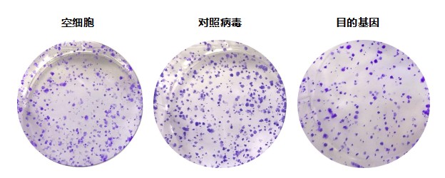技术资料图片12