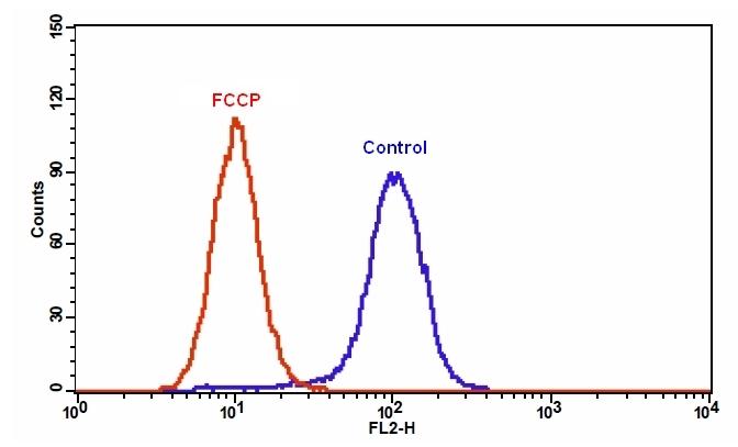 Cell Meter 线粒体膜电位检测试剂盒 橙色荧光 适合