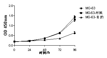 技术资料图片2