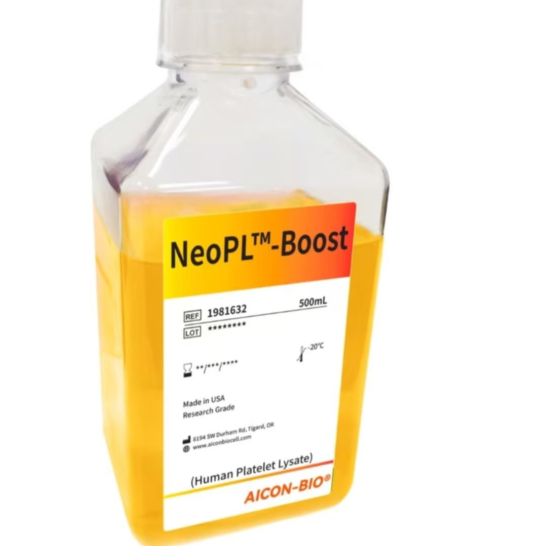 人血小板裂解物