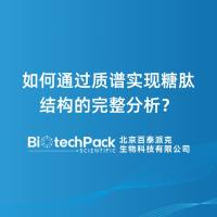 如何通过质谱实现糖肽结构的完整分析?