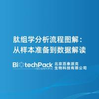 肽组学分析流程图解：从样本准备到数据解读