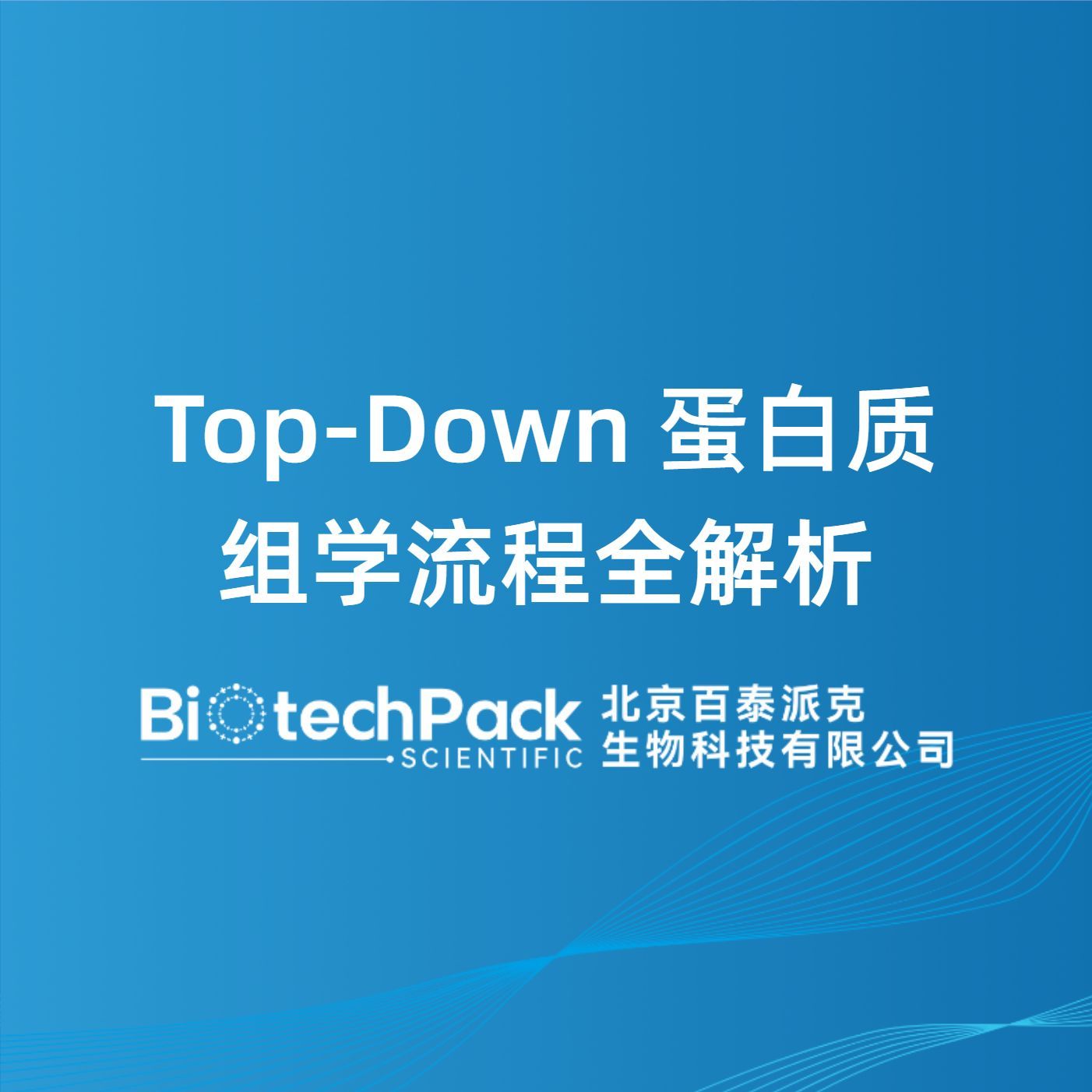 Top-Down蛋白质组学流程全解析