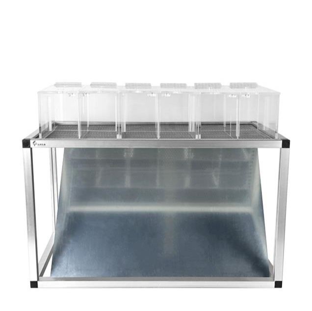 小动物足底测痛平台，动物足底测试平台