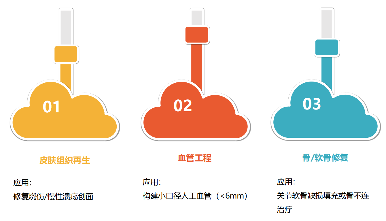 Ⅰ型鼠尾胶 2-2.png