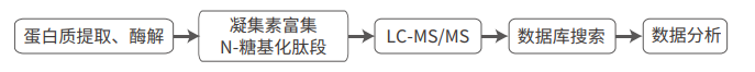 定量N糖基化蛋白质组分析