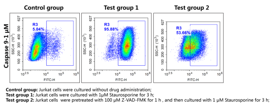 Elabscience® Caspase 9 活细胞检测底物：一步法解锁细胞凋亡研究新效率