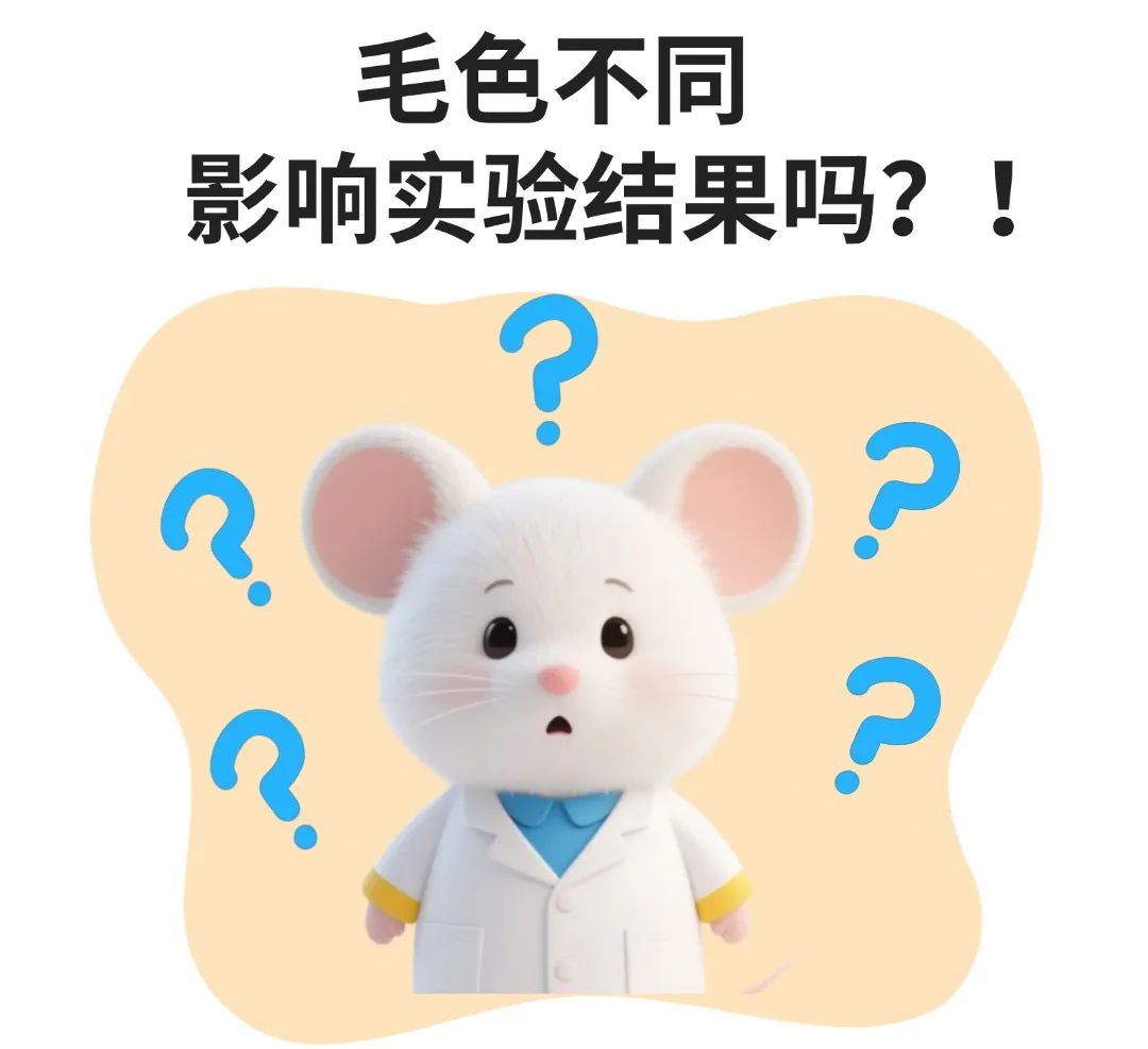 APP/PS1转基因小鼠黑色or鼠灰色？揭秘小鼠毛色背后的遗传密码