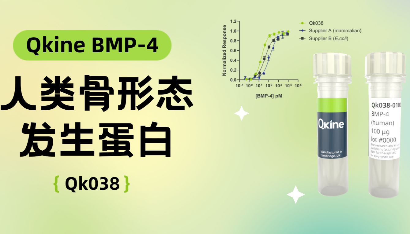 Qkine细胞因子｜BMP-4 (Qk038) 骨形态发生蛋白-4