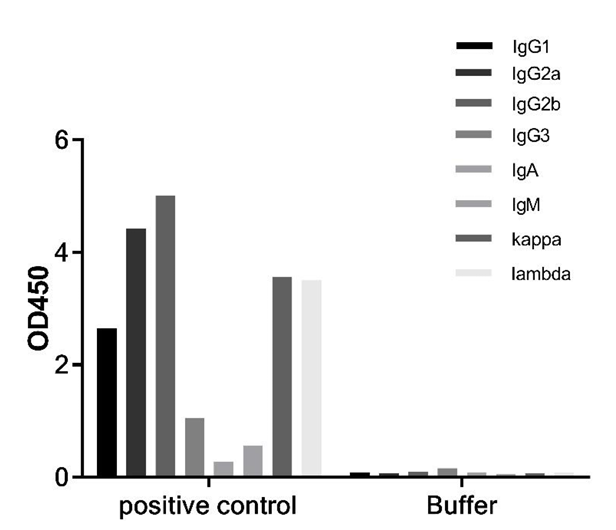 15分钟奇迹：最快的小鼠Ig分型ELISA试剂盒