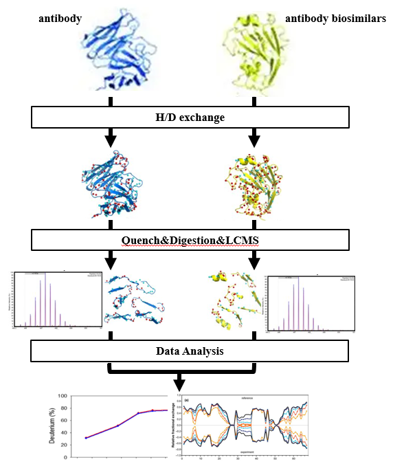 生物类似药高级结构分析
