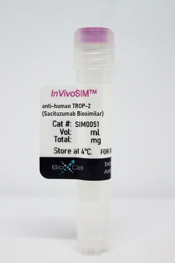 SIM0051.jpg