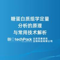 糖蛋白质组学定量分析的原理与常用技术解析