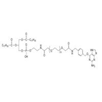 BG-PEG-DSPE   Benzylguanine-PEG-DSPE   DSPE-PEG
