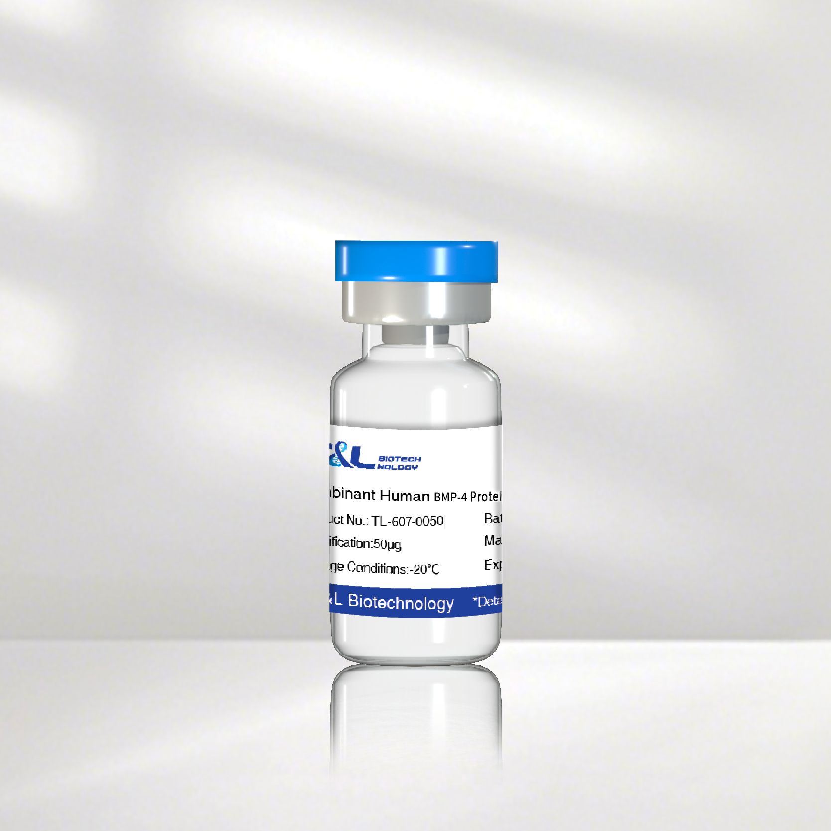 重组人BMP-4蛋白|  BMP4