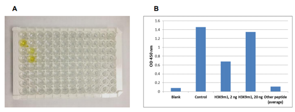 预包被组蛋白H3肽阵列ELISA试剂盒（比色法），科研实验必备