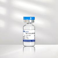 抗人CD16单克隆抗体