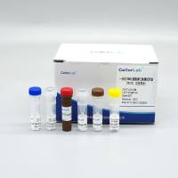 CX106 一步法TUNEL细胞凋亡检测试剂盒(TRITC, 红色荧光)