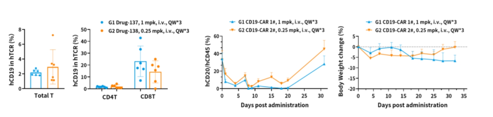 现货特惠促销 | HSC模型全新升级！让免疫重建更进一步