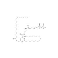 DSPE-PEG-Diphosphate  Diphosphate-PEG-DSPE   磷脂