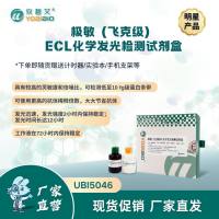 极敏（飞克级）ECL化学发光检测试剂盒