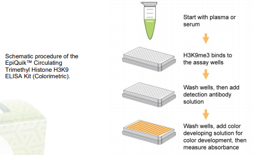 EpiQuik循环三甲基组蛋白H3K9 ELISA试剂盒（比色法），超值不容错过！