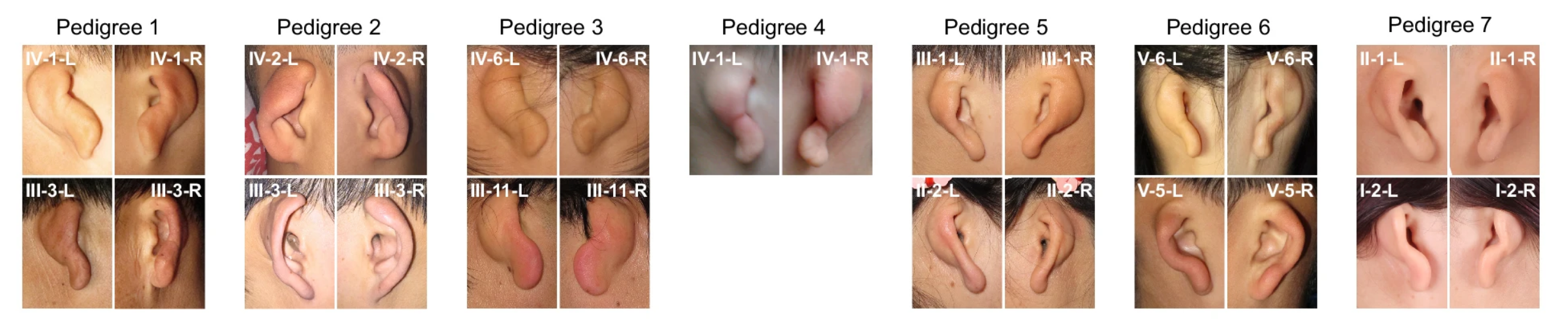 BMG LABTECH多功能酶标仪文献分享