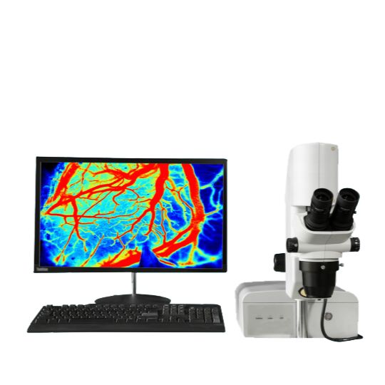 小鼠脑血流仪,小鼠组织血流仪,激光血流仪