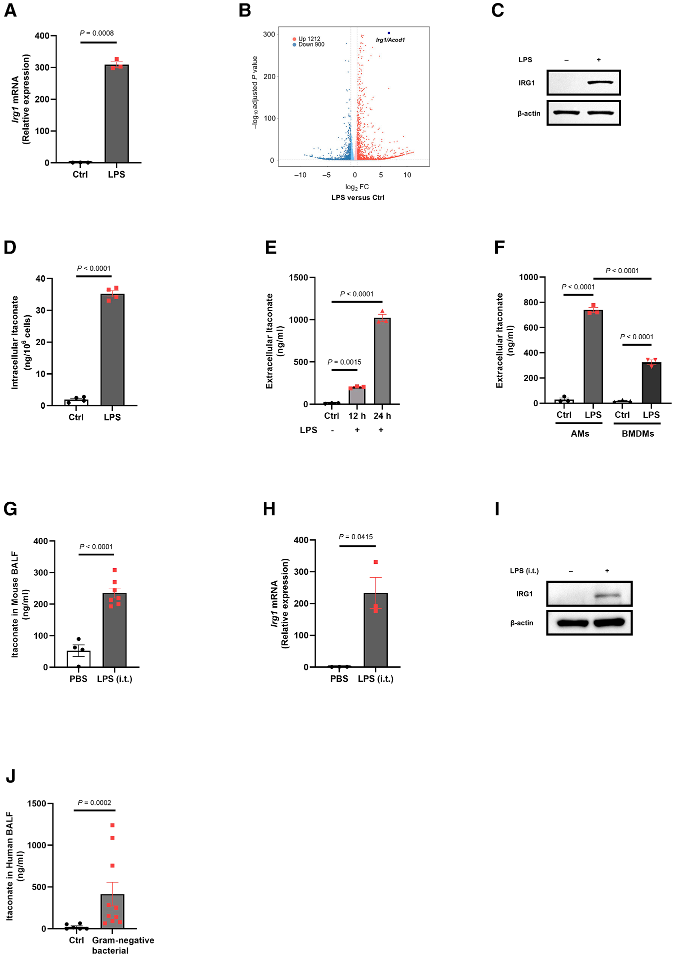 Cell Metabolism | 颠覆传统观点：衣康酸一体两面，兼具抗炎与促炎功能的双重机制