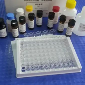 大鼠谷氨酰胺合成酶(GS)ELISA试剂盒
