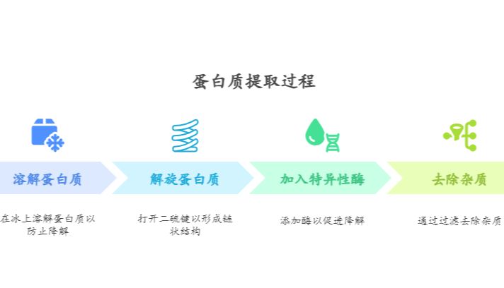 蛋白组学样本制备解决方案——从蛋白到多肽