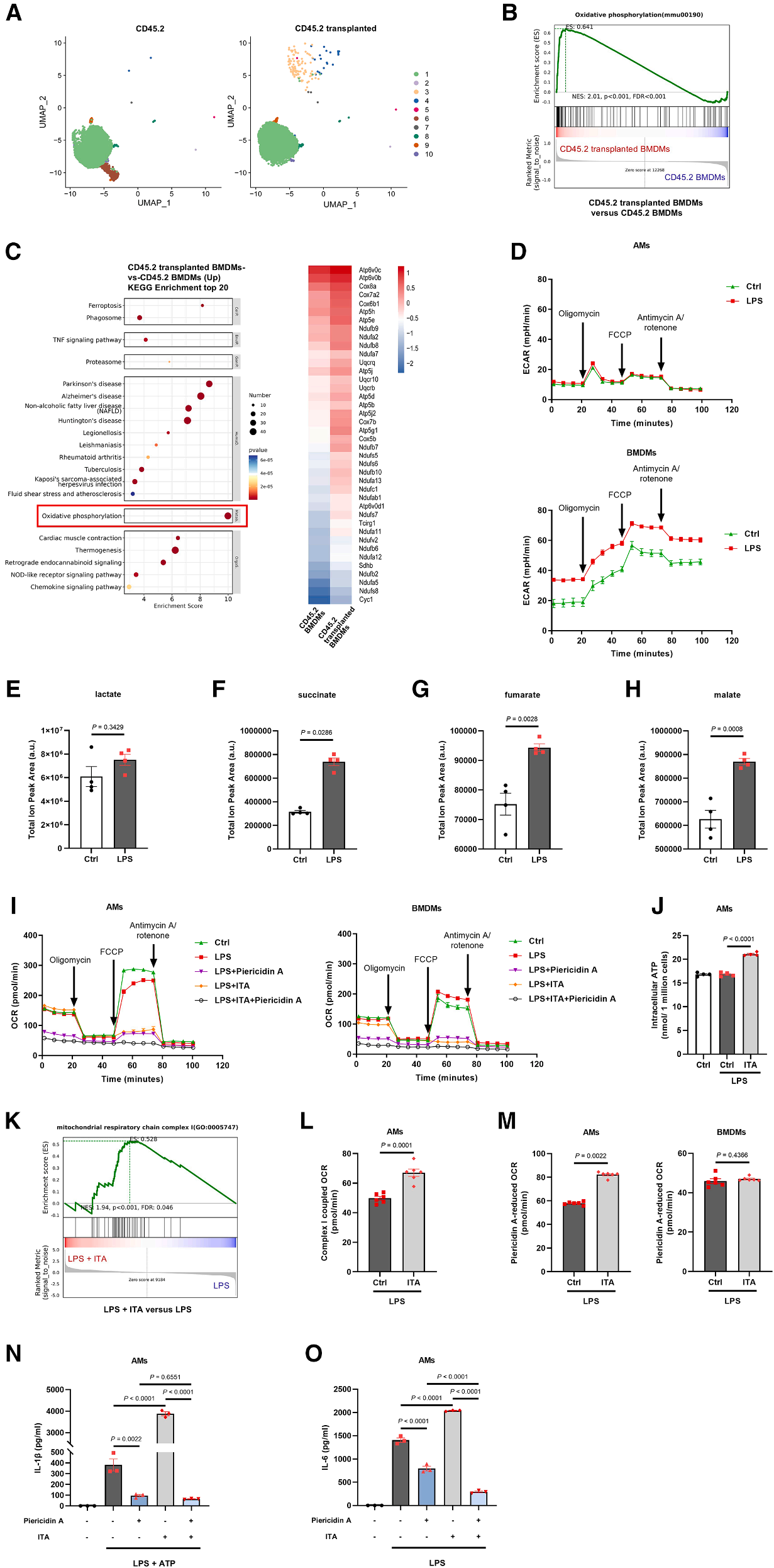 Cell Metabolism | 颠覆传统观点：衣康酸一体两面，兼具抗炎与促炎功能的双重机制