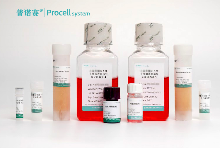 小鼠骨髓间充质干细胞成脂诱导分化培养基使用注意事项