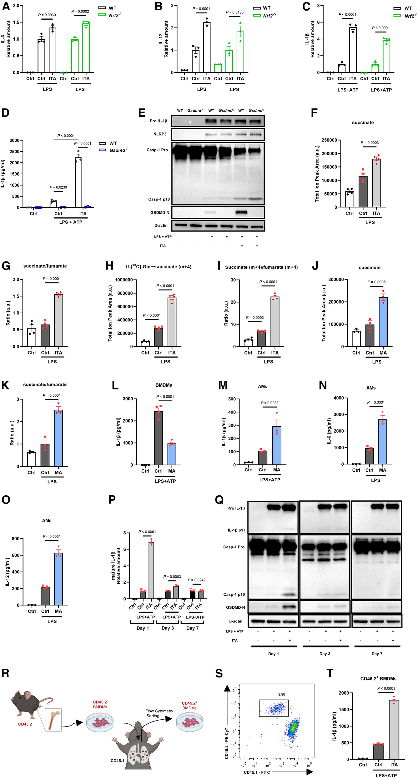 Cell Metabolism | 颠覆传统观点：衣康酸一体两面，兼具抗炎与促炎功能的双重机制