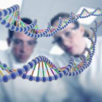 条件性基因敲除