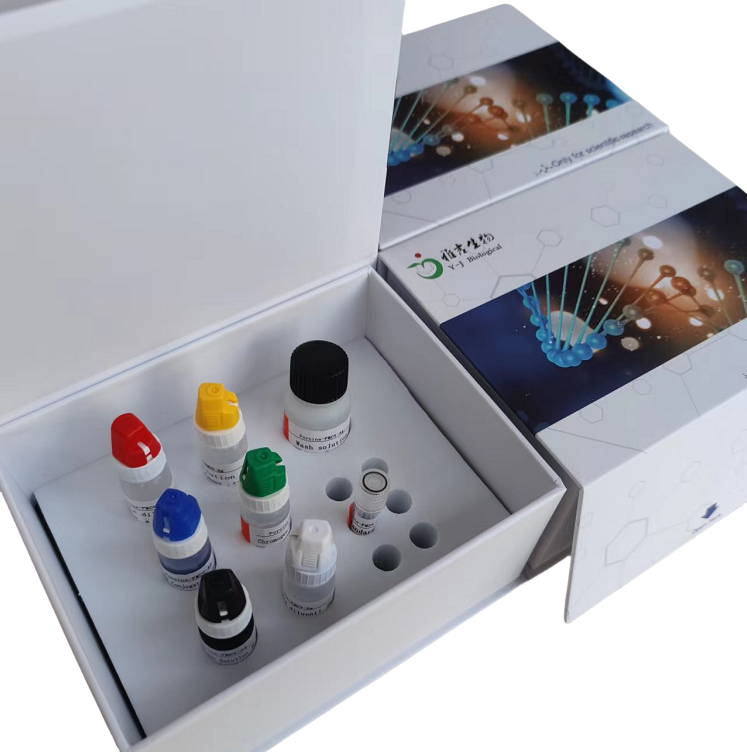 微生物草酰乙酸转羧酶(OTC)ELISA试剂盒