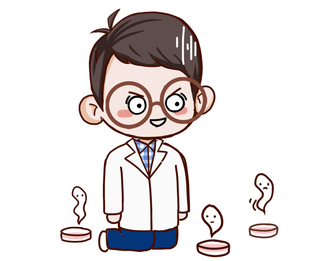 全新第七代CAD将至，老用户们说：我和它之间有独特的