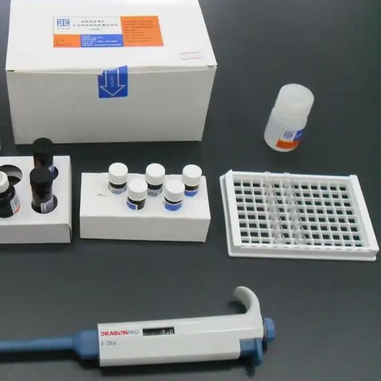 小鼠还原型辅酶Ⅱ(NADPH)ELISA试剂盒