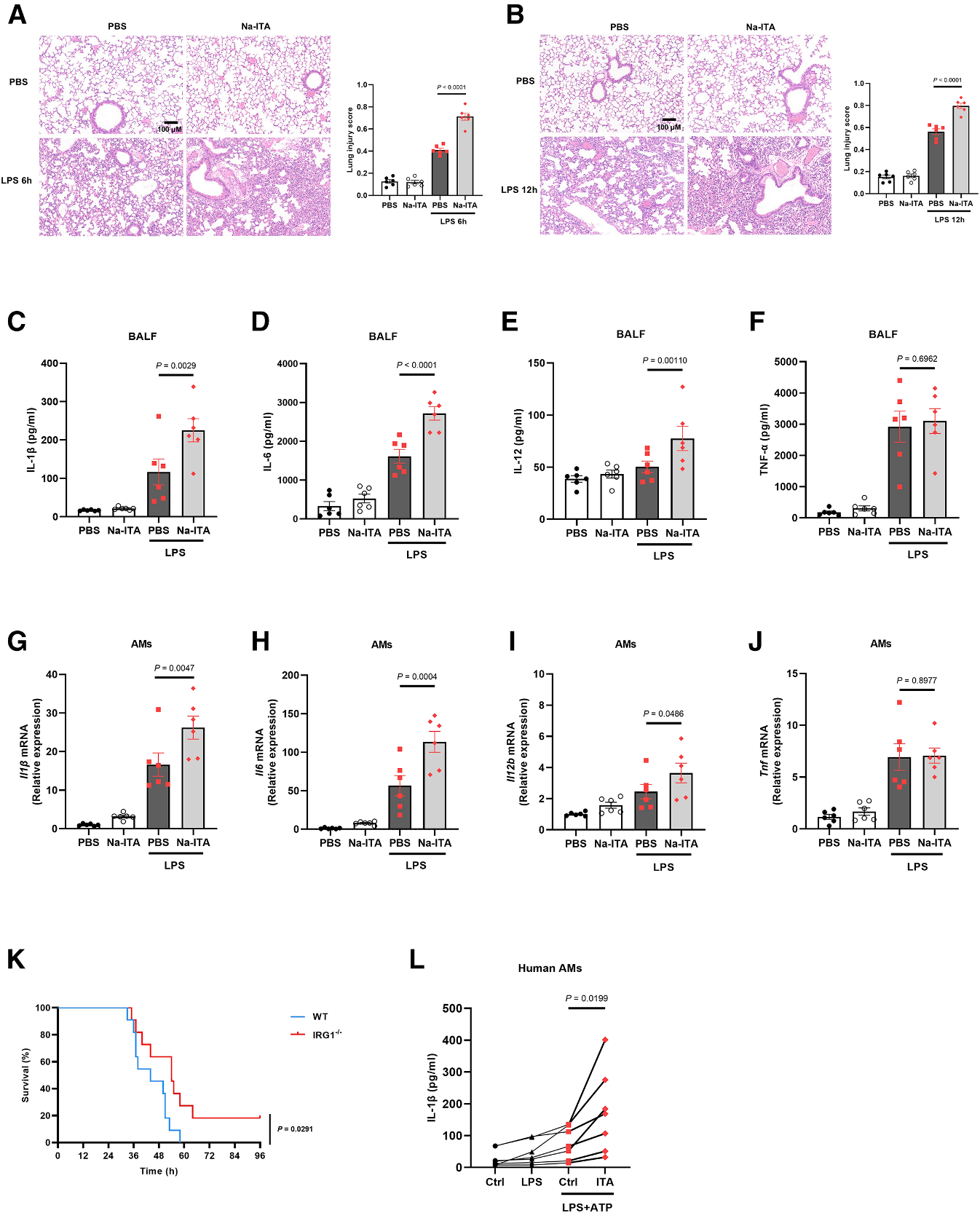 Cell Metabolism | 颠覆传统观点：衣康酸一体两面，兼具抗炎与促炎功能的双重机制