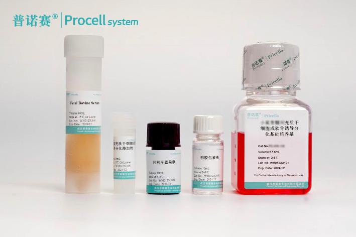 小鼠骨髓间充质干细胞成软骨诱导分化培养基常见问题解答