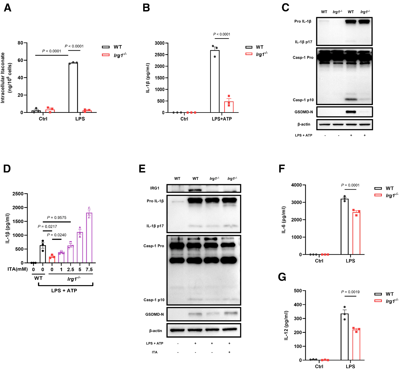 Cell Metabolism | 颠覆传统观点：衣康酸一体两面，兼具抗炎与促炎功能的双重机制