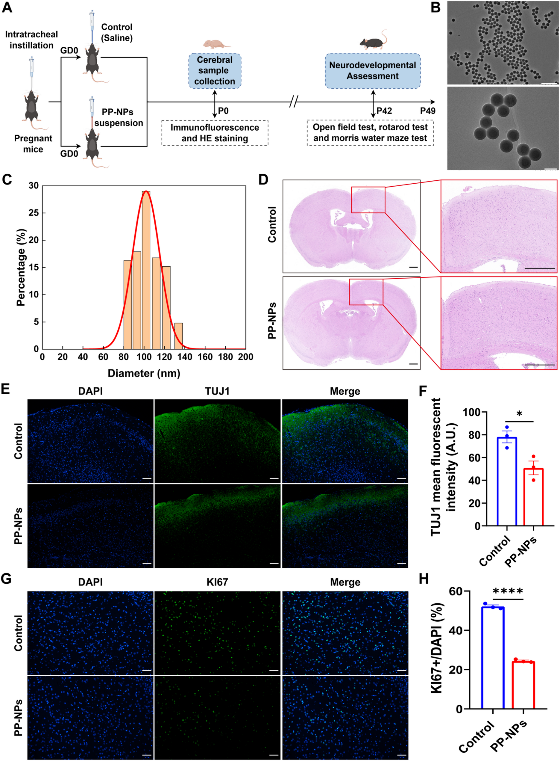 塑料污染会影响后代发育吗?