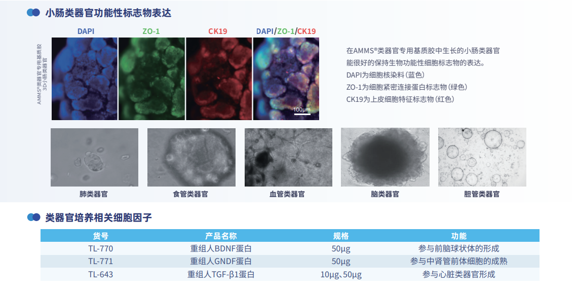 产品细节图片1