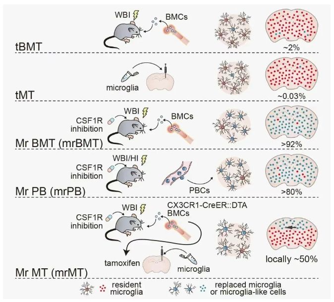 20250710-science-data1