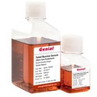 胎牛血清（南美源，ES测试）