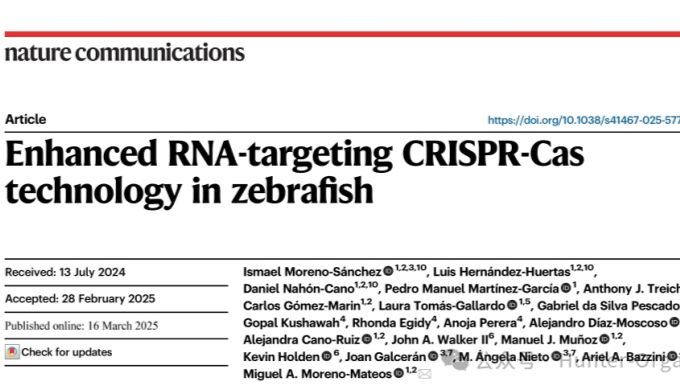 Nat. Commun.：基于斑马鱼的增强型RNA靶向CRISPR-Cas技术