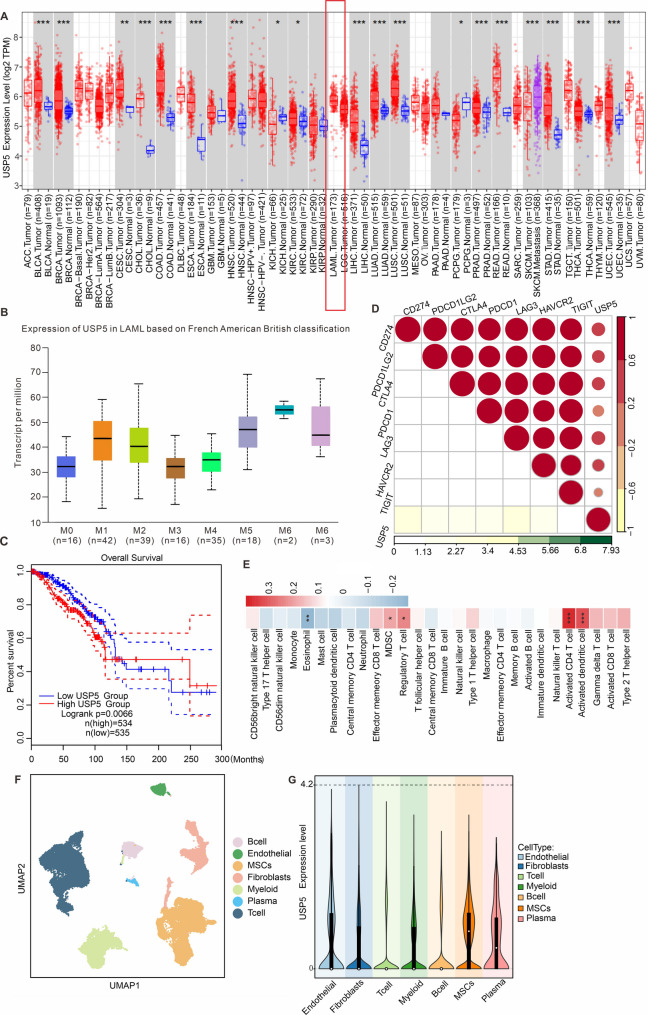 外泌体载药 外泌体载药