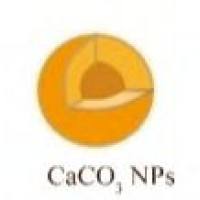 负载异甘草素的碳酸钙纳米颗粒被血管内皮生长因子VEGFR修饰  ISL@CaCO₃NPs-VEGFR